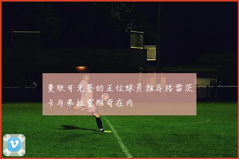 曼联可免签的五位球员推荐格雷茨卡与弗拉霍维奇在内